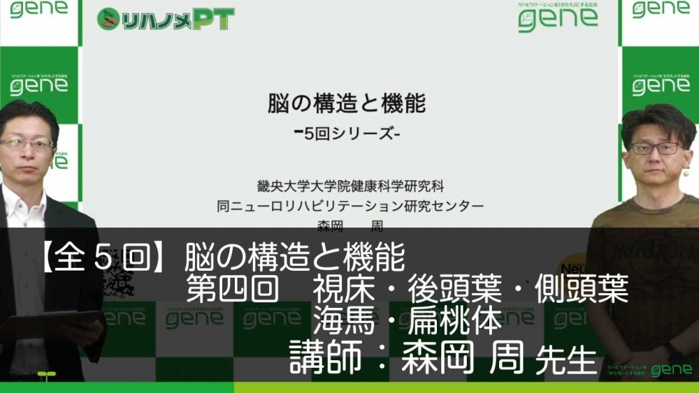 【5-4】脳の構造と機能 第4回 各論(3) 視床・後頭葉・側頭葉・海馬・扁桃体