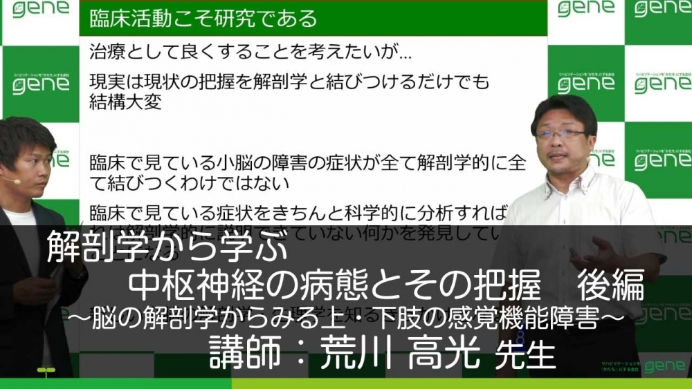 後編 解剖学から学ぶ中枢神経の病態とその把握 脳の解剖 配信動画一覧 リハノメ 株式会社gene コメディカル向けセミナーと介護保険事業 出版事業