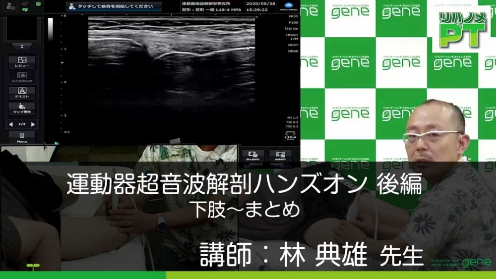 【後編】運動器超音波解剖ハンズオン 下肢~まとめ
