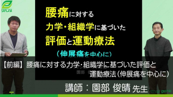 【前編】腰痛に対する力学・組織学に基づいた評価と運動療法(伸展痛を中心に)