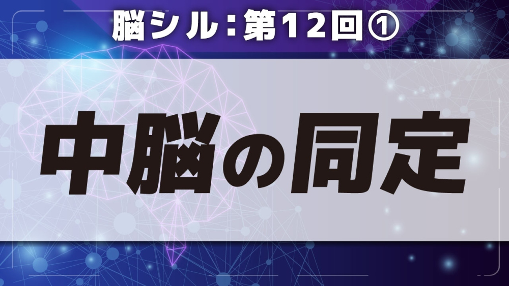 脳シル【第12回】脳幹（中脳・橋・延髄）と小脳の同定 Part①中脳の同定