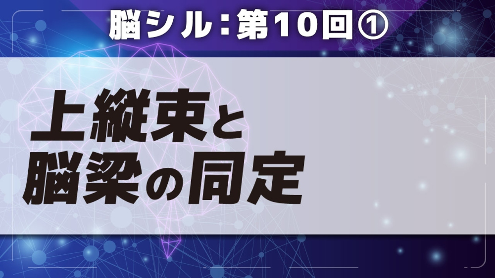 脳シル【第10回】神経線維の同定 Part①上縦束と脳梁の同定