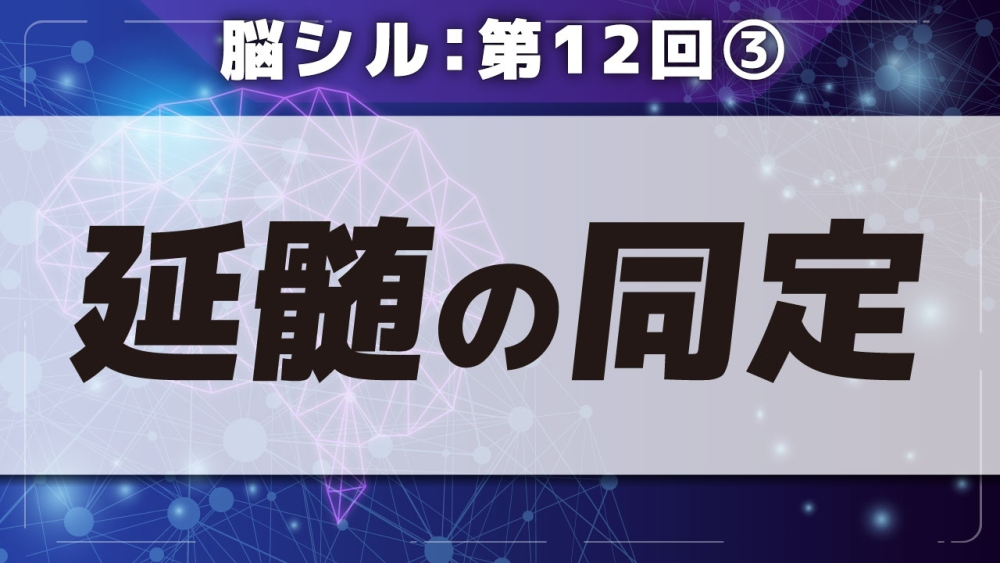 脳シル【第12回】脳幹（中脳・橋・延髄）と小脳の同定 Part③延髄の同定