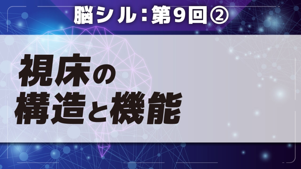脳シル【第9回】大脳基底核・視床・内包の同定 Part②視床の構造と機能