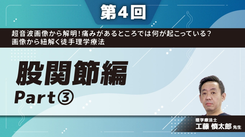 超音波画像から解明!痛みがあるところでは何が起こっている?画像から紐解く徒手理学療法 【第4回】股関節編 Part③股関節外側部痛の原因
