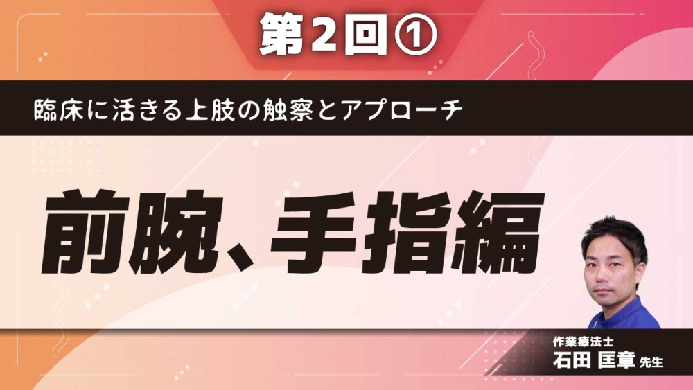 臨床に活きる上肢の触察とアプローチ 【第2回】前腕、手指編 Part①肘関節の特徴