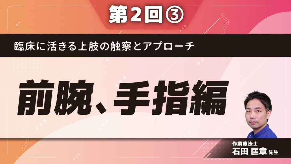 臨床に活きる上肢の触察とアプローチ 【第2回】前腕、手指編 Part③手関節の特徴