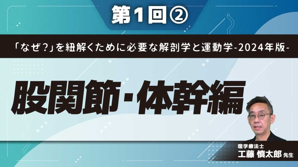 「なぜ?」を紐解くために必要な解剖学と運動学-2024年版- 【第1回】股関節・体幹編 Part②股関節周囲組織の解剖と運動療法