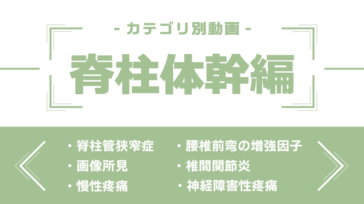 分野別ダイジェスト~脊柱体幹編~