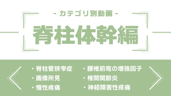 分野別ダイジェスト～脊柱体幹編～