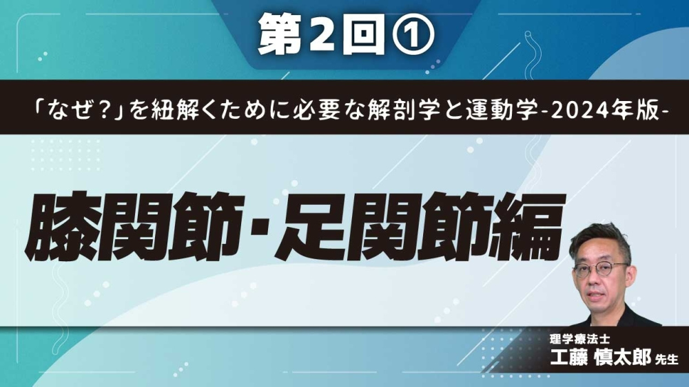 「なぜ?」を紐解くために必要な解剖学と運動学-2024年版- 【第2回】膝関節・足関節編 Part①膝蓋下脂肪体線維化の原因と低酸素の関係