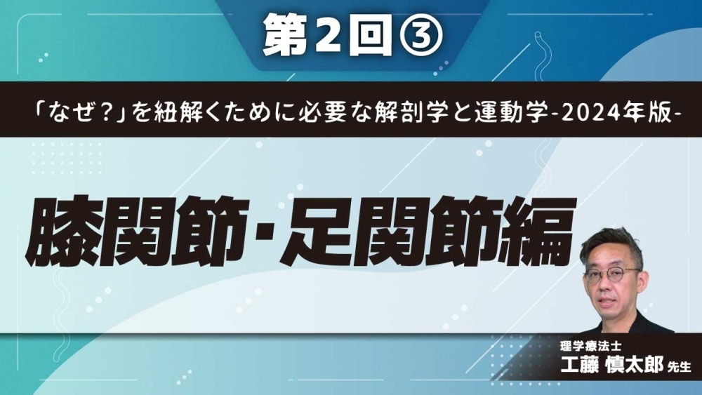 「なぜ?」を紐解くために必要な解剖学と運動学-2024年版- 【第2回】膝関節・足関節編 Part③足関節の不安定性と背屈可動域制限