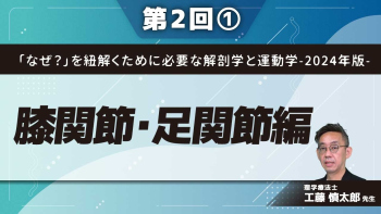 「なぜ？」を紐解くために必要な解剖学と運動学-2024年版- 【第2回】膝関節・足関節編 Part①膝蓋下脂肪体線維化の原因と低酸素の関係