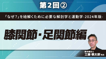 「なぜ?」を紐解くために必要な解剖学と運動学-2024年版- 【第2回】膝関節・足関節編 Part②内側半月逸脱の運動療法とポイントは何か