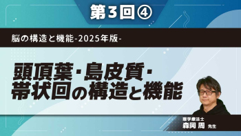 脳の構造と機能-2025年版- 【第3回】頭頂葉・島皮質・帯状回の構造と機能 Part④帯状回