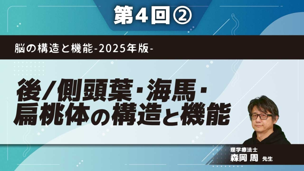 脳の構造と機能-2025年版- 【第4回】後/側頭葉・海馬・扁桃体の構造と機能 Part②側頭葉（高次な視覚情報処理）
