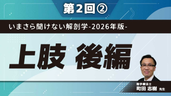 いまさら聞けない解剖学-2026年版- 【第2回】上肢　後編 Part②肘・前腕の実技/手の解剖について