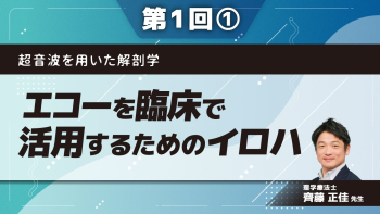 超音波を用いた解剖学 【第1回】エコーを臨床で活用するためのイロハ Part①描出のコツ編