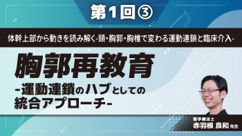 体幹上部から動きを読み解く-頸・胸郭・胸椎で変わる運動連鎖と臨床介入- 【第1回】胸郭再教育-運動連鎖のハブとしての統合アプローチ- Part③胸郭周囲の解剖と機能