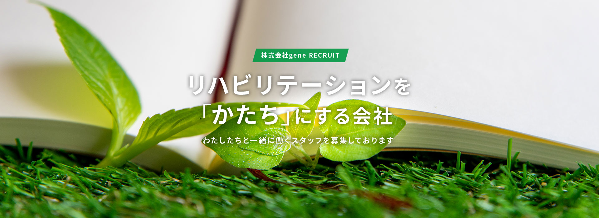 メインイメージ